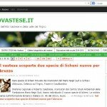 altovastese.