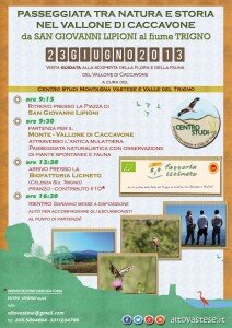 Caccavone02_fbook