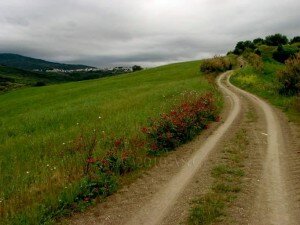 campagne di Gissi
