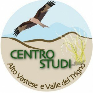 cropped-Logo-Centro-Studi.jpg
